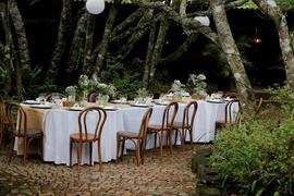 Boma Decor White Theme