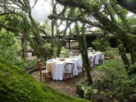 Intimate Forest Wedding