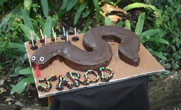 Boma Snake Birthday Cake